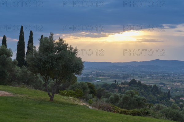 Tree in the foreground, sunset bathes the landscape in warm light, Hotel Europa, garden restaurant and view of the surrounding landscape, Olympia, Peloponnese, Greece