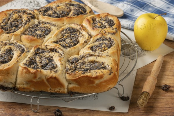 Poppy seed cake on a baking rack, next to an apple and baking utensils