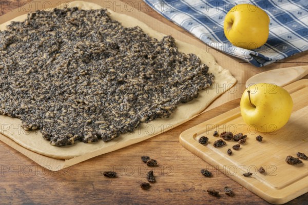 Rolled dough with evenly distributed mixture of poppy seeds, raisins and apples