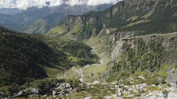 Wide valleys surrounded by high mountains and dense vegetation on the Manali-Leh Highway, Trekking Ladakh, Himachal Pradesh, Himalayas, India