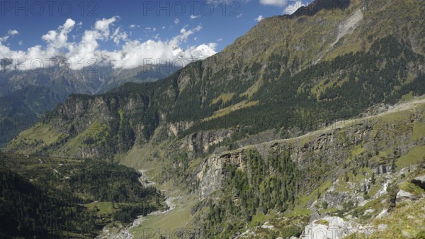 Valleys and densely wooded slopes on the Manali-Leh Highway under clear, sunny skies, trekking Ladakh, Himachal Pradesh, Himalayas, India