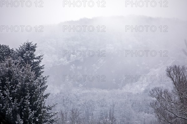 Wartenberg with snow and clouds in winter, Witten, Ruhr area, North Rhine-Westphalia, Germany