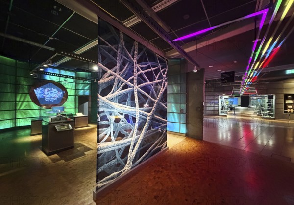 Nanoworlds exhibition at DASA, German Occupational Safety Exhibition, Dortmund, North Rhine-Westphalia, Germany