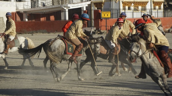 Group of polo players in traditional clothing playing polo on a clay court in Leh, dynamic scene, trekking in Ladakh, Himalayas, India