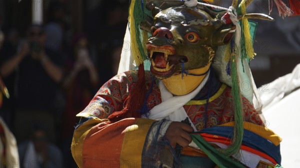Person in traditional costume with mask dance in festive atmosphere, Leh, trekking in Ladakh, Himalayas, India