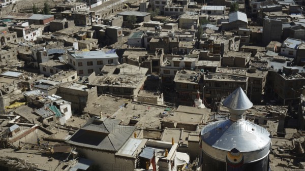 A variety of traditional buildings in a Tibetan village seen from above, trekking in Ladakh, Himalayas, India