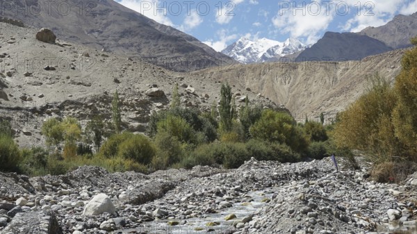 Rocky river through a mountainous landscape with green trees, Nubra Valley, trekking in Ladakh, Himalayas, India