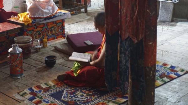 Buddhist monk reading in a colourfully decorated, quiet temple room, trekking in Ladakh, Himalayas, India