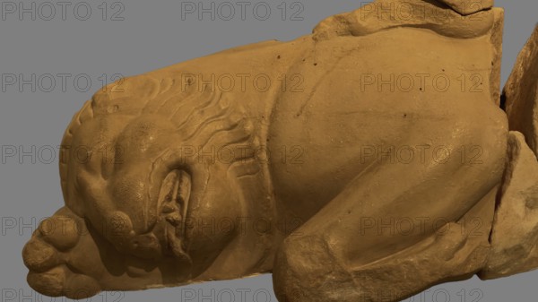 Killed Nemean lion, statue detail of a lying lion, stone texture and fine details, Olympia Archaeological Museum, Ancient Olympia, Olympia, Peloponnese, Greece