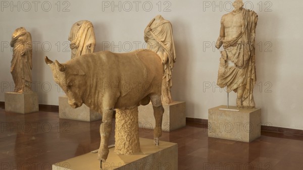 Ancient marble statues, including a bull, on display in a museum hall, Olympia Archaeological Museum, Ancient Olympia, Peloponnese, Greece