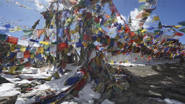 Sun shines through a jumble of colorful prayer flags over snow-covered ground at Khardung-La Pass I under a clear sky, trekking in Ladakh, Himalayas, India