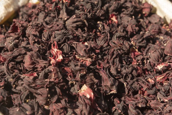 Dried Hibiscus flower petals for sale in the Spice Market in Cairo. Hibiscus is used for treating loss of appetite, colds, heart and nerve diseases and an aid to weight loss. In Egypt Hibiscus Tea is a popular herbal tea rich in antioxidants