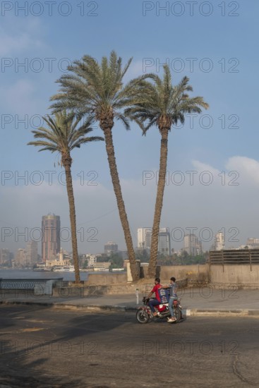 Cairo, Egypt. July 1st 2024 Palm trees beside the Qasr El Nil Bridge and the River Nile in Downtown Cairo, Egypt