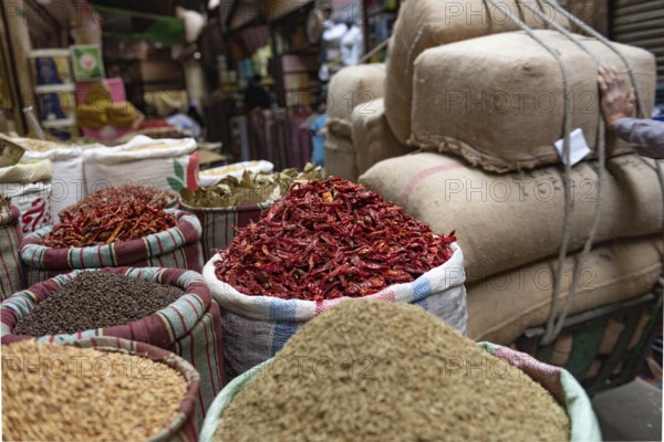 A sack of dried red chilli peppers being sold in the spice market close to Khan El Khalili Bazaar in Islamic Cairo, Egypt