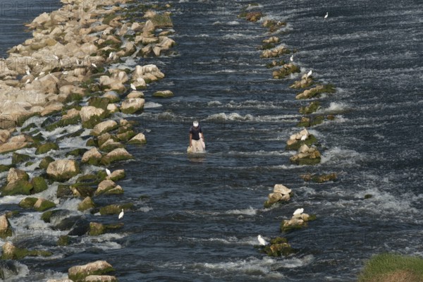 Qanater, Nile Delta. Egypt. December 18th 2022 An Egyptian man wades in the waters beside the El Qanater Barrage, on the River Nile at the Delta Barrages, the Nile River divides into the Damietta and Western Rosetta branches