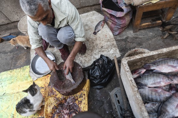 Cairo, Egypt. December 5th 2022 An Egyptian man gutting fish caught from the River Nile to be sold in the market of the Islamic Quarter of Cairo, the capital city of Egypt