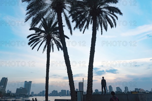Cairo, Egypt. November 26th 2022 Palm trees silhouetted against a dramatic sky over the Qasr El Nil Bridge, River Nile near Tahrih Square in Downtown Cairo cityscape at sunset panorama urban landscape