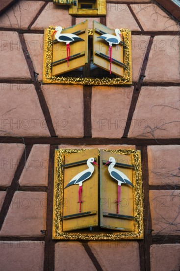 Christmassy decorated half-timbered house, Christmas market, Riquewihr, Grand Est, Haut-Rhin, Alsace, France