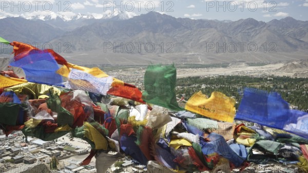 Colourful prayer flags fly over a city with mountain backdrop in the background, Leh, Ladakh, North India, Himalayas, India