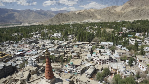 Panoramic view of a mountainous cityscape with green trees, Leh, Ladakh, North India, Himalayas, India