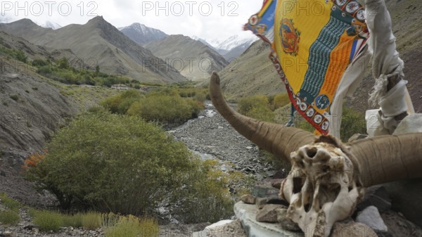 Valley motif with colorful flags, a skull and a river in a mountainous landscape