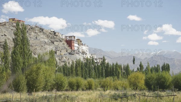 Village buildings on a hill with green landscape and mountains under a blue sky, Ladakh, Himalayas, India