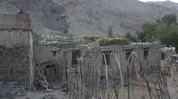 Old stone buildings in a village against a mountainous backdrop, yak (bos mutus) dung lying on the roof to dry, surrounded by traditional architecture, Ladakh, Himalaya, India