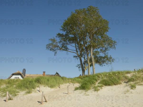 Coastal scene, with a thatched building, Ahrenshoop, Baltic Sea, Vorpommern-Rügen district in Mecklenburg-Western Pomerania, Germany
