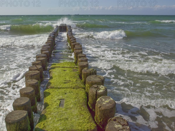 Groves, coastal protection structure, beach, Ahrenshoop, Baltic Sea, Vorpommern-Rügen district in Mecklenburg-Western Pomerania, Germany