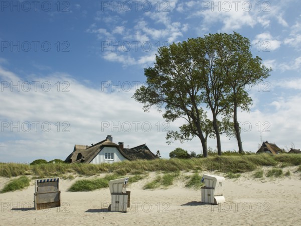 Coastal scene, beach, beach chairs, Ahrenshoop, Baltic Sea, Vorpommern-Rügen district in Mecklenburg-Western Pomerania, Germany
