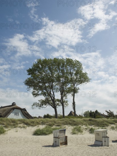 Coastal scene, beach, beach chairs, Ahrenshoop, Baltic Sea, Vorpommern-Rügen district in Mecklenburg-Western Pomerania, Germany