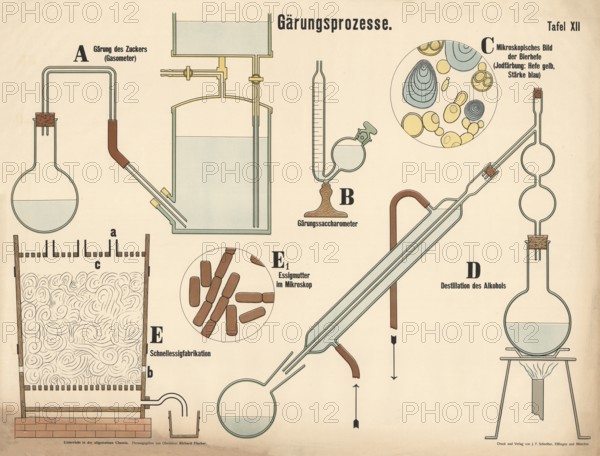Various chemical devices and microscopic views on the subject of fermentation and distillation, fermentation of sugar, fermentation saccharometer, microscopic image of beer yeast, distillation of alcohol with Liebig cooler, authentic, digitally restored reproduction from a 19th century original, exact date of presentation unknown, historical