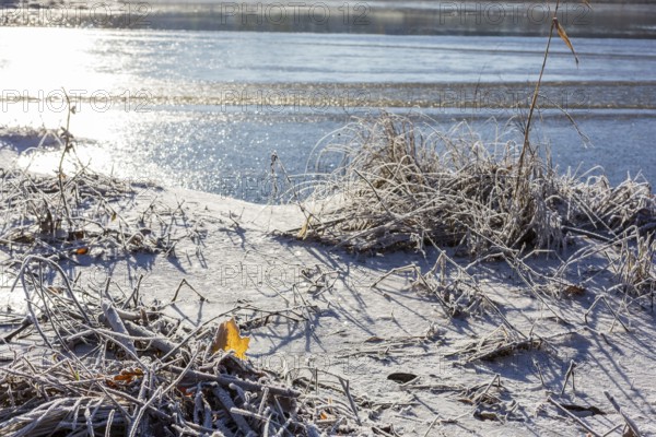 Hoarfrost and ice on the banks of the Elbe, Coswig, Saxony, Germany