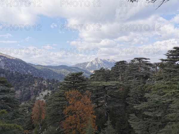 View of Tahtali Dagi over forested mountains under a blue sky with clouds, hiking the Lycian Trail, Turkey