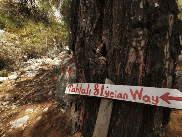 A wooden sign points the way through a wooded hiking trail towards Tahtali Dagi, Lycian Trail, Turkey