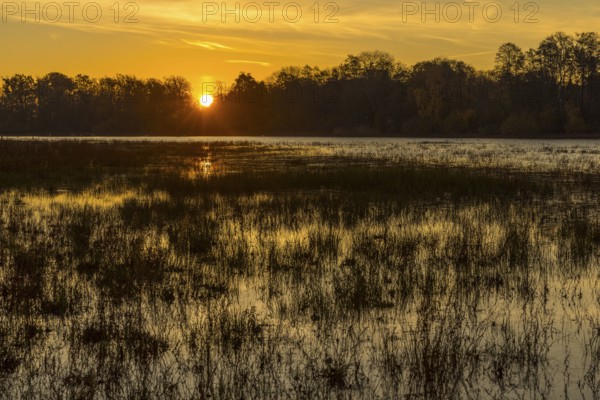 Sunrise on a large pond near the lighthouse in Moritzburg Castle Park, Saxony, Germany