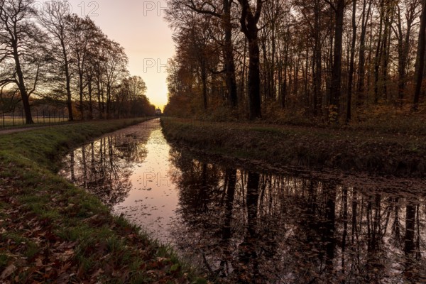 On the canal, visual axis to the pheasant castle in morning light, Moritzburg Castle Park, Saxony, Germany