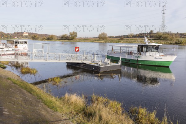 Klarisse electric ferry on the Elbe at Niederlommatzsch ferry terminal, Neuhirschstein Castle in the background, Saxon Elbland, Saxony, Germany