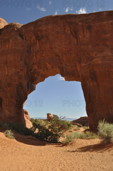 Pine Tree Arch, a large sandstone arch with clear sky in the background, Arches National Park, Utah, USA