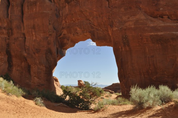 Pine Tree Arch, a sandstone arch in a desert landscape under blue sky, Arches National Park, Utah, USA