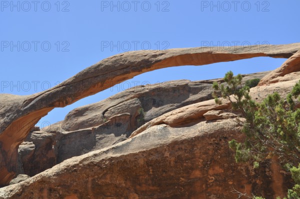 Large stone bridge, called Landscape Arch, in desert landscape with plants, Arches National Park, Utah, USA