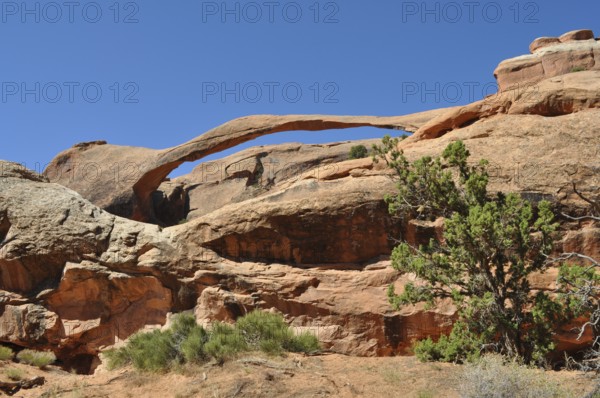 Landscape Arch, a natural stone bridge, with desert plants in the foreground, Arches National Park, Utah, USA