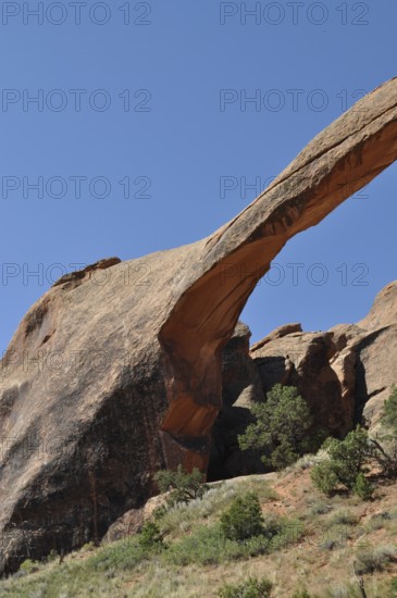 Detailed view of Landscape Arch, an impressive natural stone bridge, with some vegetation, Arches National Park, Utah, USA