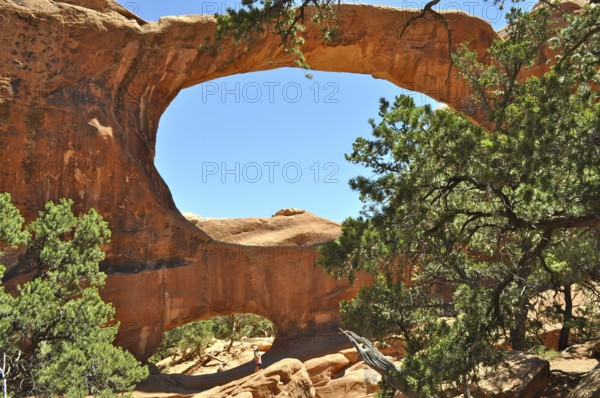 Double O Arch, a sprawling rock arch surrounded by green vegetation under clear skies, Arches National Park, Utah, USA