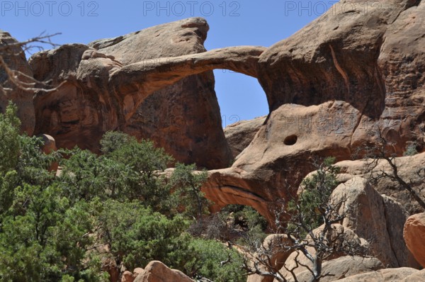 Impressive rock arch, called Double O Arch, with vegetation surrounded by rocky landscape, Arches National Park, Utah, USA