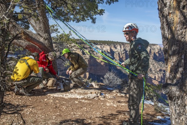 Grand Canyon National Park, Arizona. National Park Service employees practice rescue techniques on the Canyon's South Rim