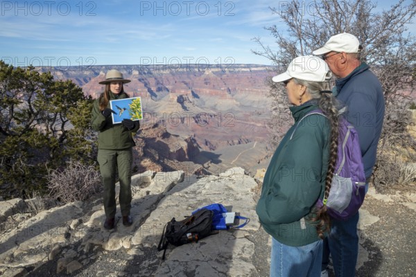 Grand Canyon National Park, Arizona. A park ranger gives a talk to park visitors about birds and insects that pollinate plants in the park