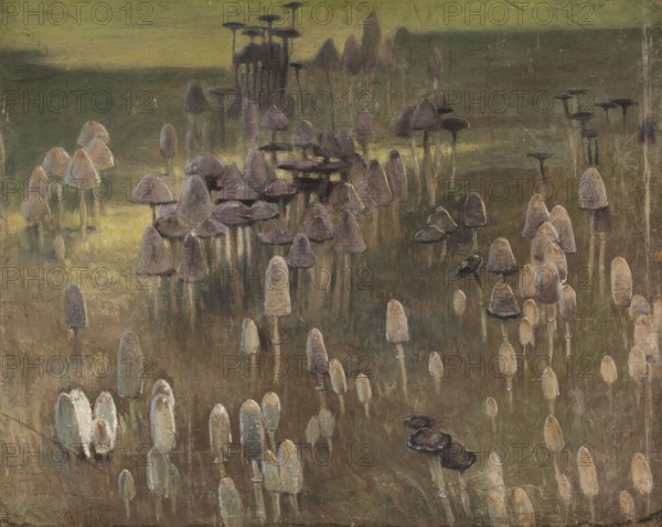 Kazimierz Stabrowski (b. 21 November 1869, d. 10 June 1929 in Garwolin), Polish painter: Autumn flora, Autumn flora, authentic, digitally restored reproduction from a model from the early 20th century, exact date of depiction unknown, historical, meadow full of various mushrooms in muted colours