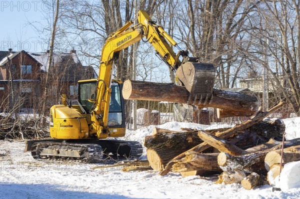 Excavator transporting a large, freshly cut log in a residential area, Lanaudiere region, province of Quebec, Canada