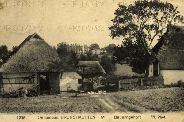 Historic postcard around 1900, Baltic resort Brunshaupten i.M, farmers' homestead, historic town on the Mecklenburg Baltic Sea coast, which merged with Arendsee and Fulgen in 1937 to form today's Baltic Sea resort of Kühlungsborn, Mecklenburg-Western Pomerania, Germany, reproduction of a postcard, historic